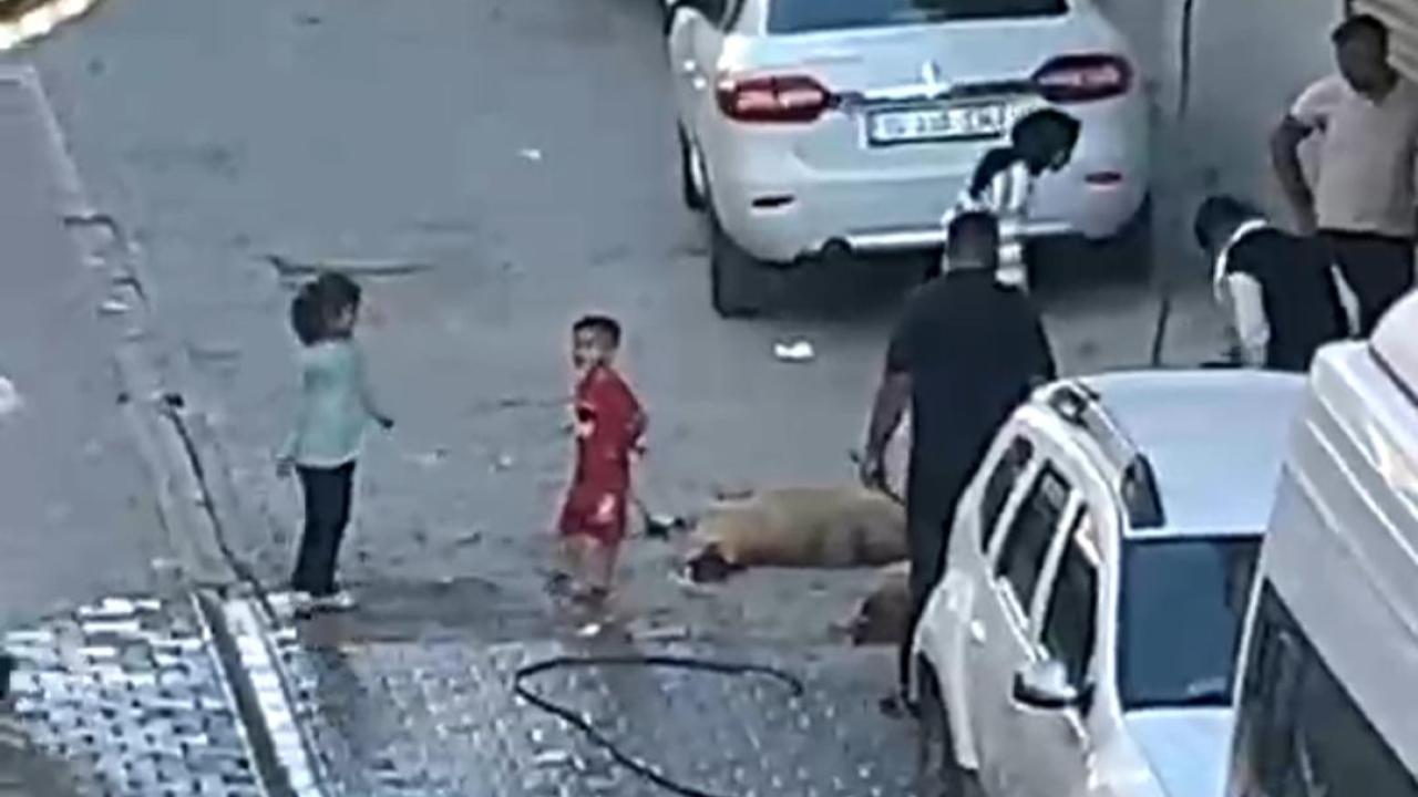 Eyyübiye’de Yasak Dinlenmedi: Mahalle Sokakları Kana Bulandı