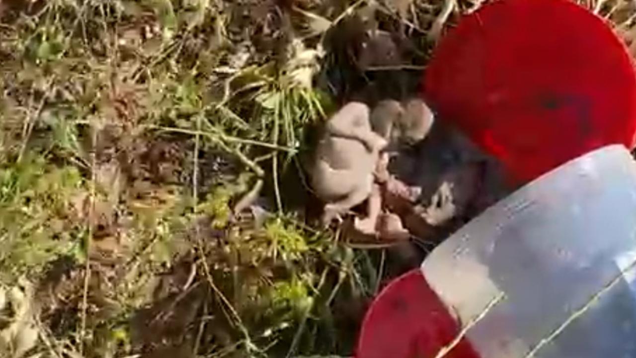 Haliliye'de Bebek Cenini Bulundu! Valilikten Açıklama