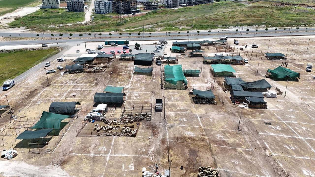 Haliliye’de Kurban Satış Ve Kesim Yerleri Belirlendi