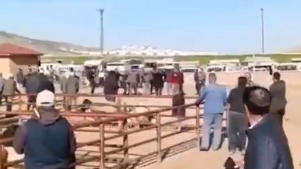 Hayvan Pazarında Kanlı Kavga: 1 Ölü, 3 Yaralı
