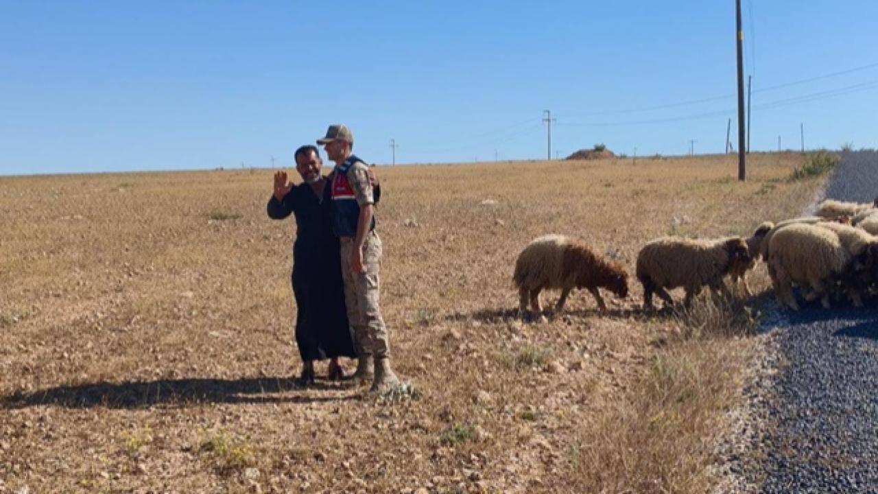 Kayıp 17 Küçükbaş Hayvan Drone Destekli Aramayla Bulundu