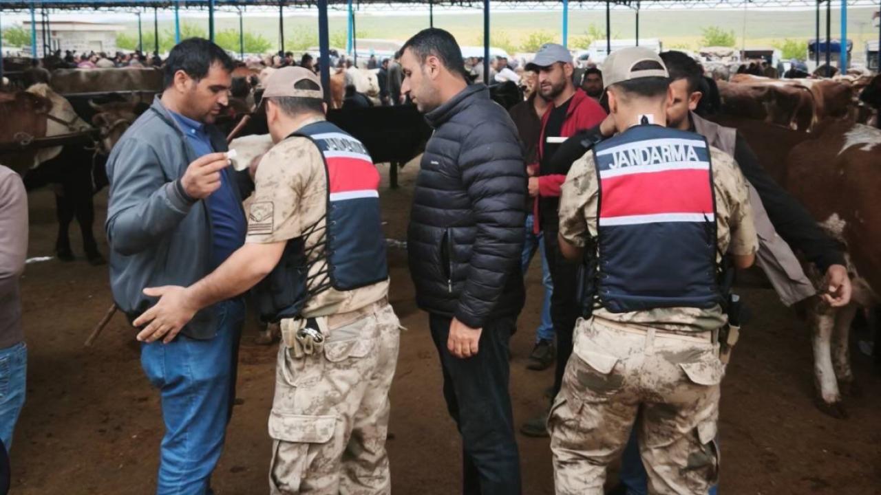 Şanlıurfa’da Kurban Bayramı Öncesi Hayvan Pazarlarında Güvenlik Önlemleri Artırıldı