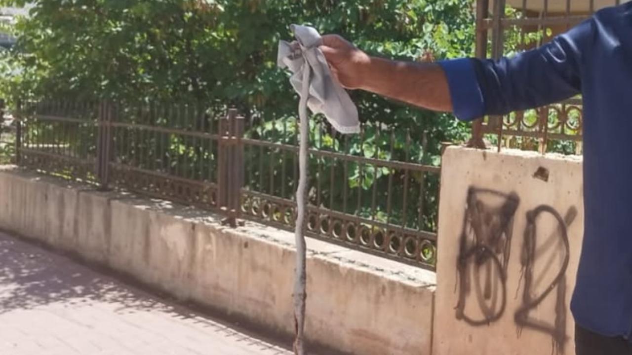 Şanlıurfa’da Yılan Uyarısı: Çocuklara dikkat!