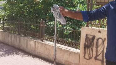 Şanlıurfa’da Yılan Uyarısı: Çocuklara dikkat!