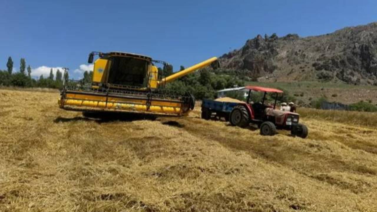 Sezonun İlk Buğday Hasadı Yapıldı! İşte Fiyatı