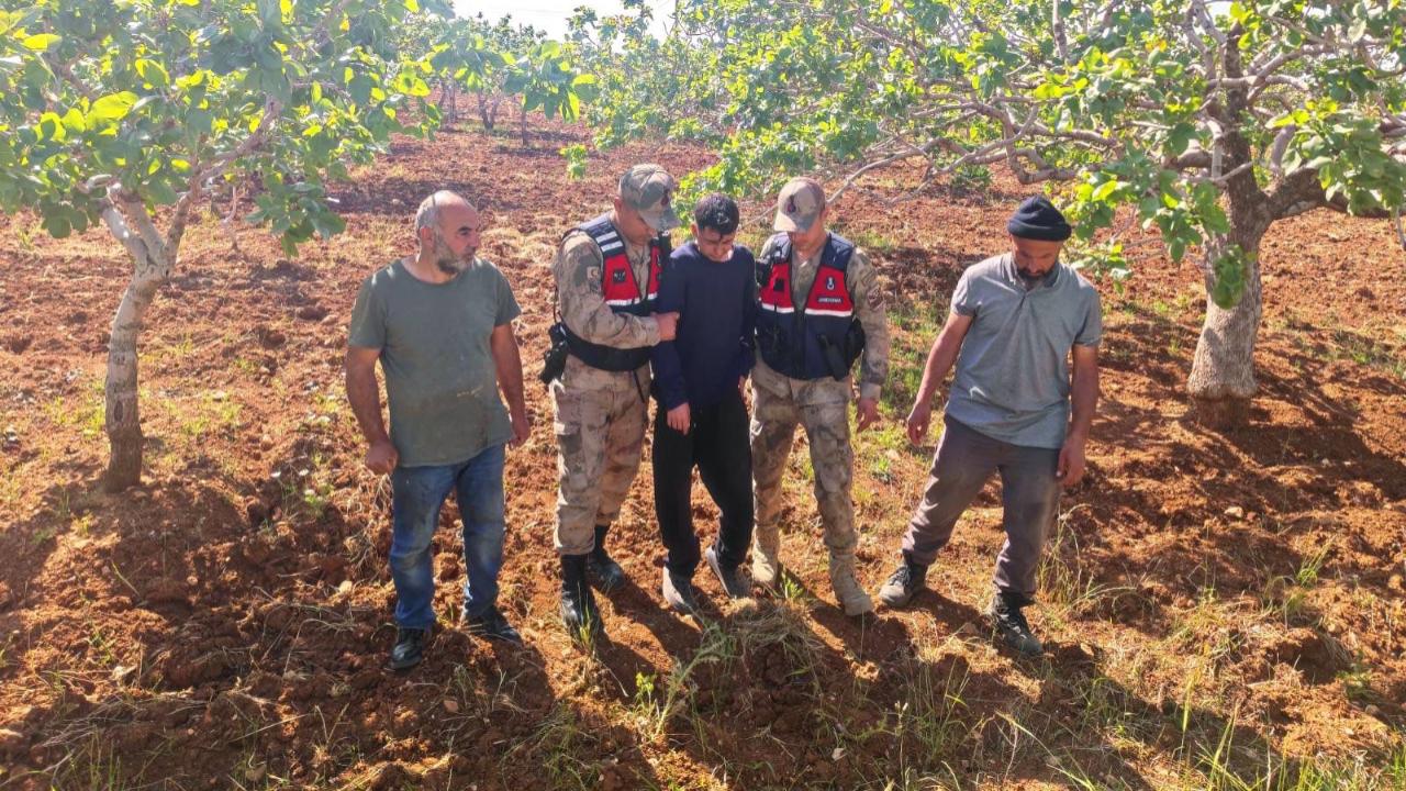 Urfa’da Kayıp Genç Fıstık Tarlasında Bulundu