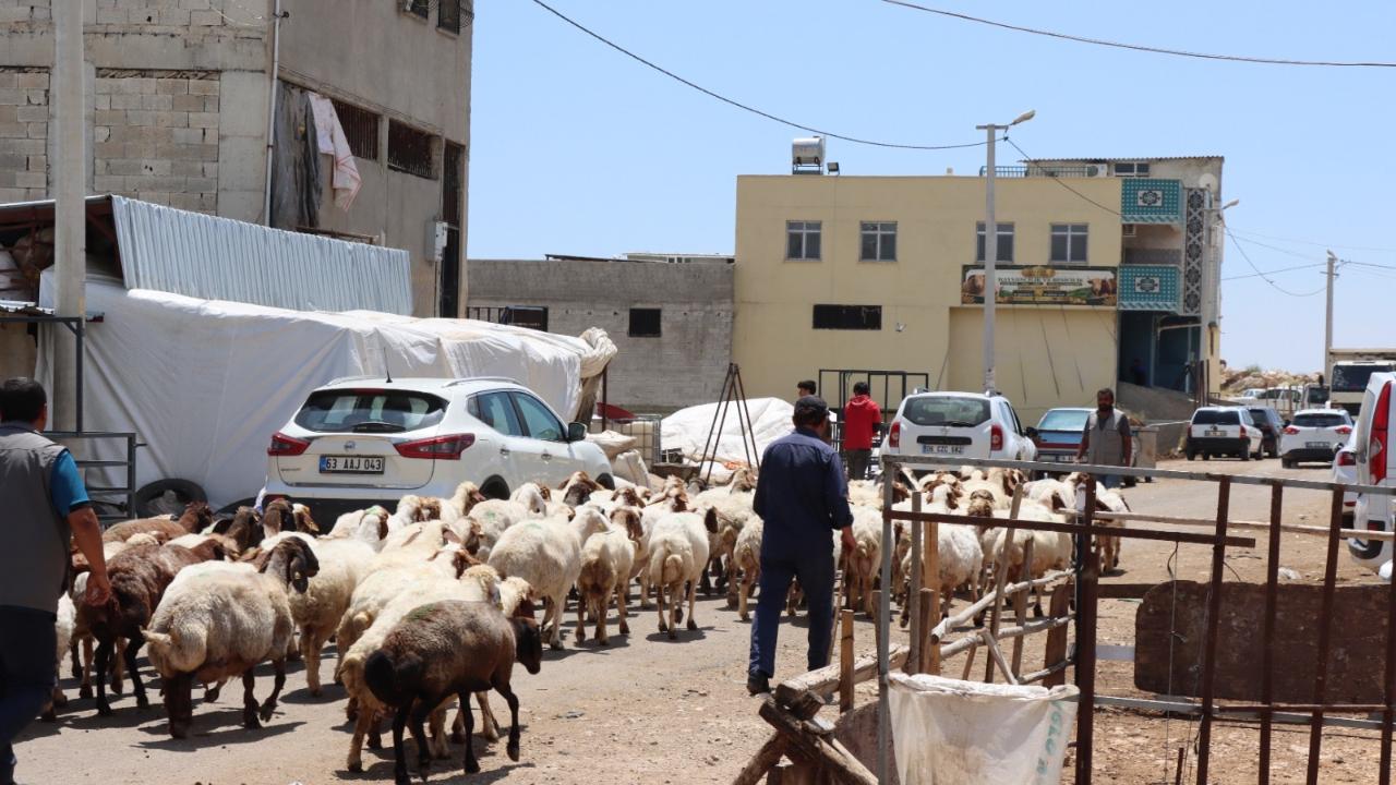 Urfa’da Kurban Satış Noktaları Yakınlarında İlaçlama Çalışması