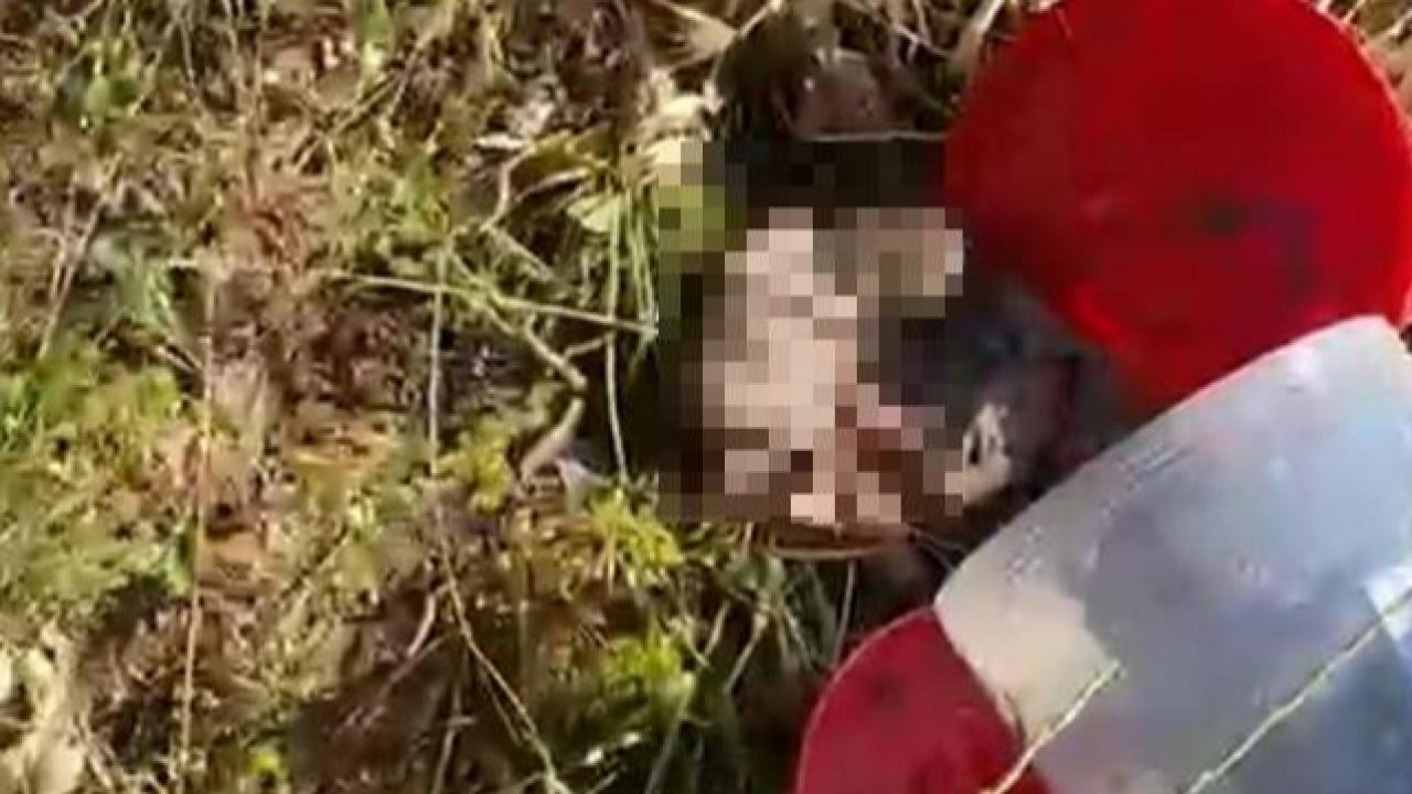 Urfa’daki Cenin Skandalında Yeni Gelişme! 4 Şüpheli Serbest