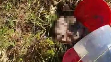 Urfa’daki Cenin Skandalında Yeni Gelişme! 4 Şüpheli Serbest