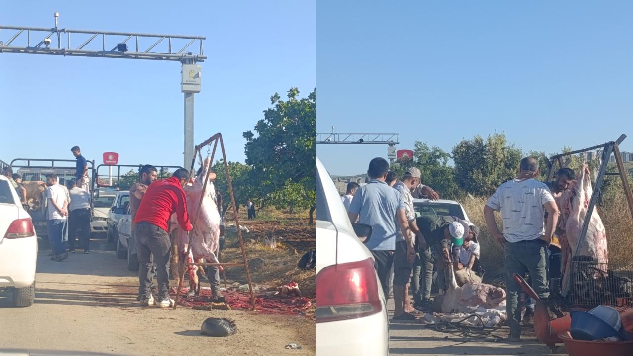 Yol Kenarındaki Kesimler Tepki Çekiyor