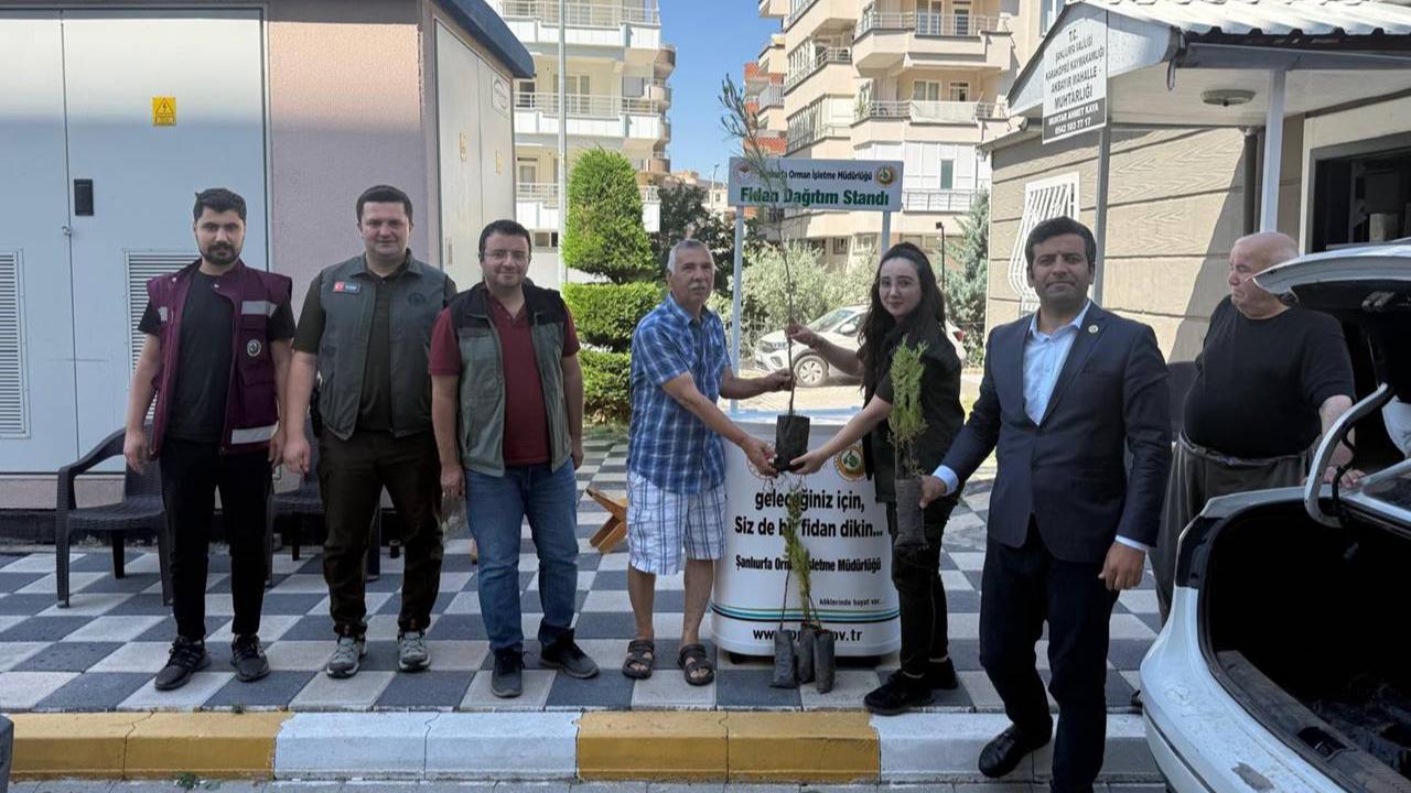 Akbayır Mahallesi’nde “Her Eve Bir Fidan” Seferberliği