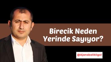 Fırat'ın Kıyısında Kaybolan Vizyon: Birecik Yerinde Sayıyor?