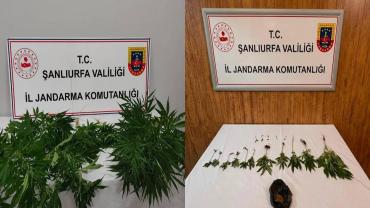 Hilvan ve Halfeti’de Uyuşturucu Operasyonu!