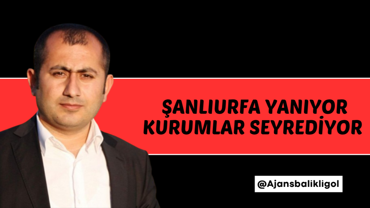 Şanlıurfa Yanıyor, Kurumlar Seyrediyor