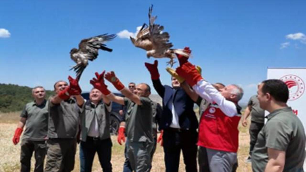 Şanlıurfa’da Yaban Hayatı İçin Önemli Adım