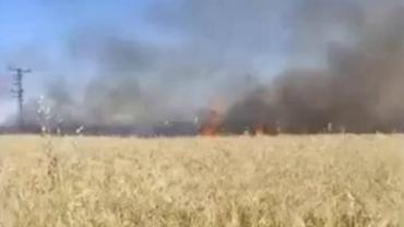 Urfa’da 50 Dönümlük Alan Alevlere Teslim Oldu!