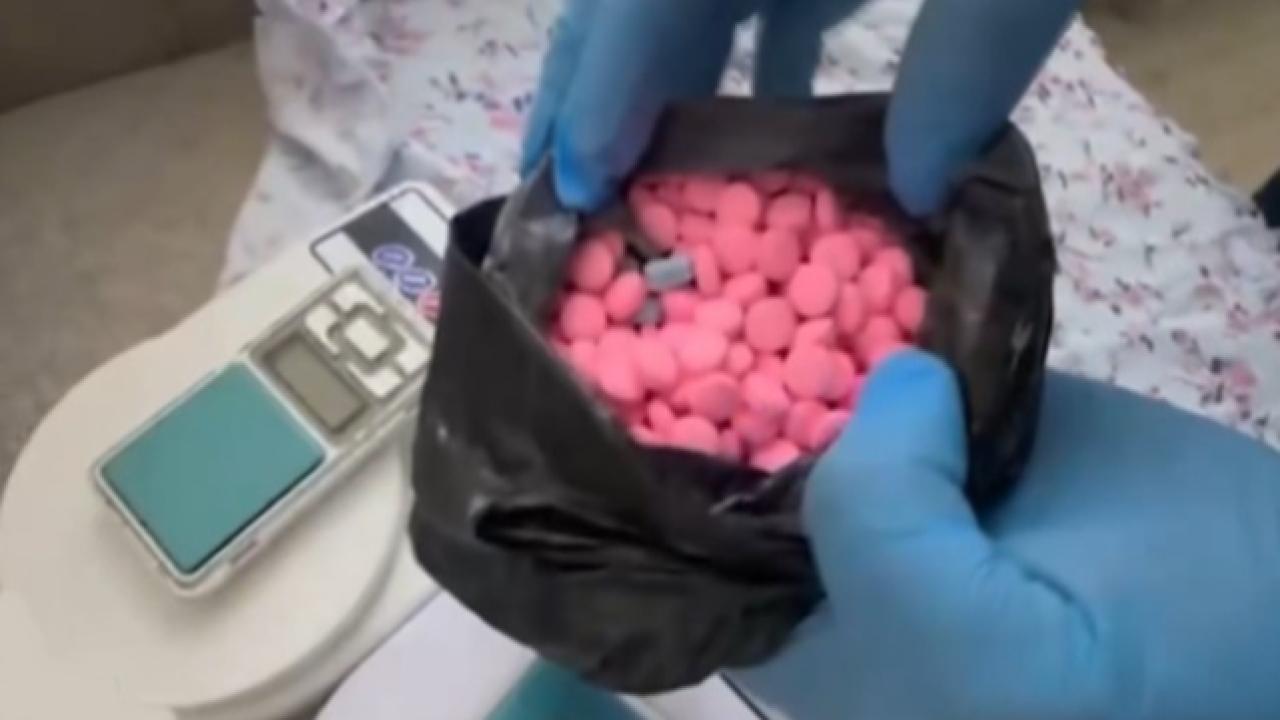3 ilçede narkotik operasyonu: 116 kilo metamfetamin ele geçirildi