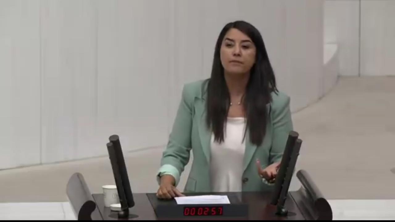 DEM Partili Ayan’dan Çerçeve Yasa Çağrısı