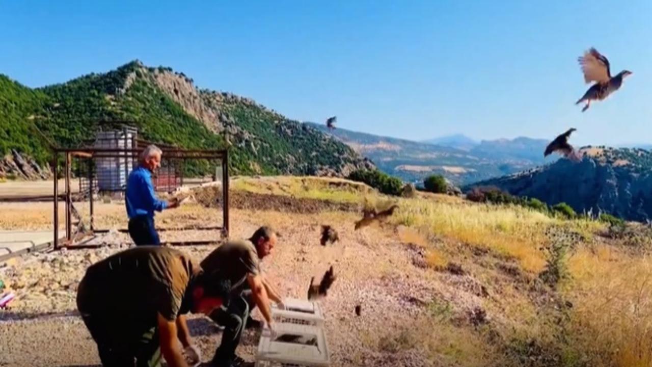 Şanlıurfa DKMP'den Adıyaman'da Keklik Salımı