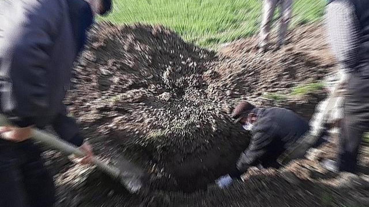 Şanlıurfa'da 5 Kişi Son Yolculuğuna Uğurlandı