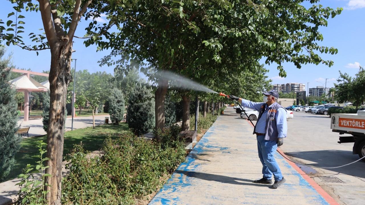 Şanlıurfa'da İlaçlama Seferberliği