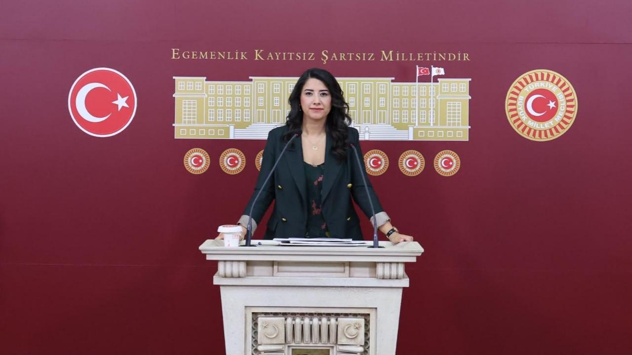 Şanlıurfa’da Makam Aracında Kaçak Göçmen İddiası Meclis Gündeminde!