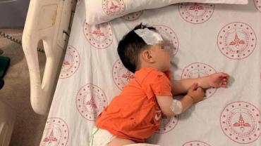 Urfa’da Köpek Saldırısı Sonrası Bakanlık Harekete Geçti