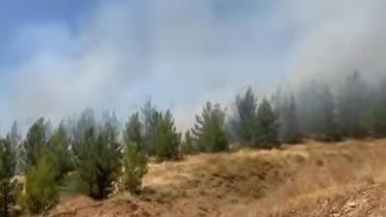 Urfa’nın İlçesinde Ormanlık Alanda Yangın Çıktı