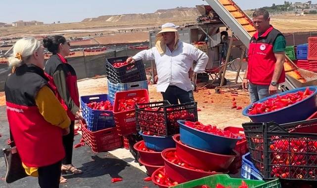 Şanlıurfa’da İsot Sezonu Başladı! Üreticilere Bilgilendirme