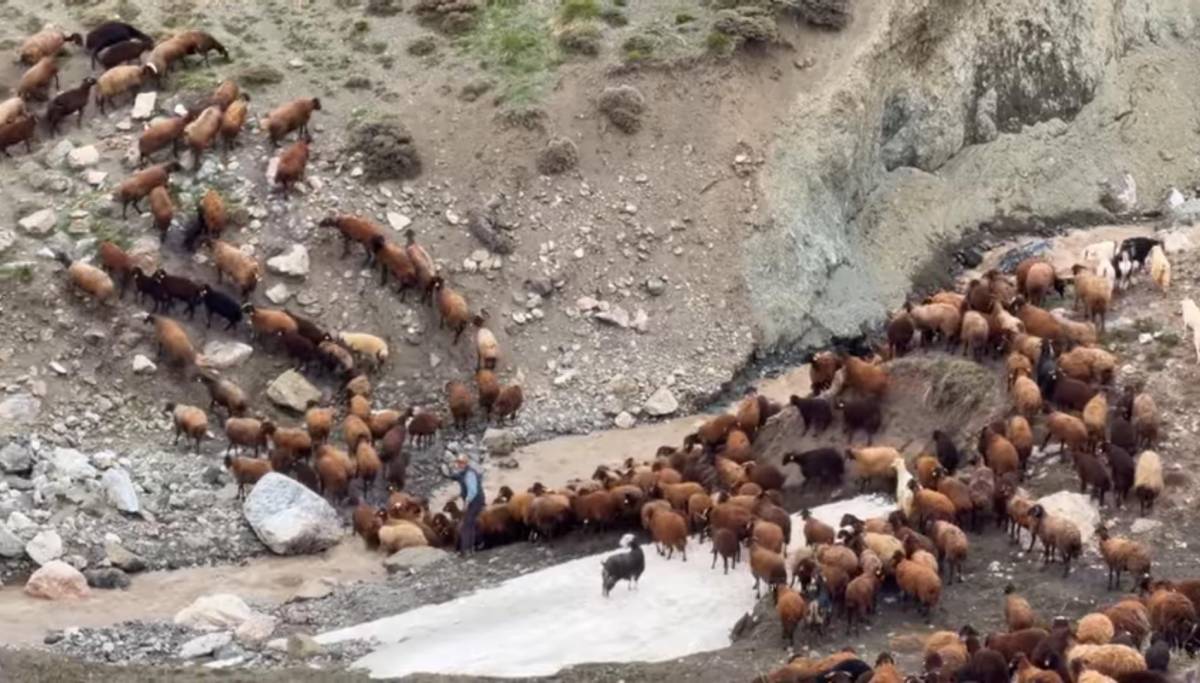 Göçerlerin Zorlu Yayla Yolculuğu Devam Ediyor