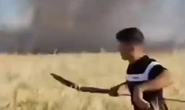 Urfa’da 50 Dönümlük Alan Alevlere Teslim Oldu!