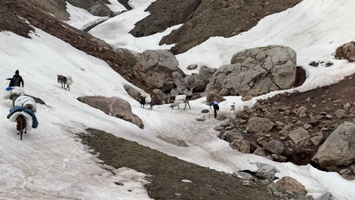 Göçerlerin Zorlu Yayla Yolculuğu Devam Ediyor