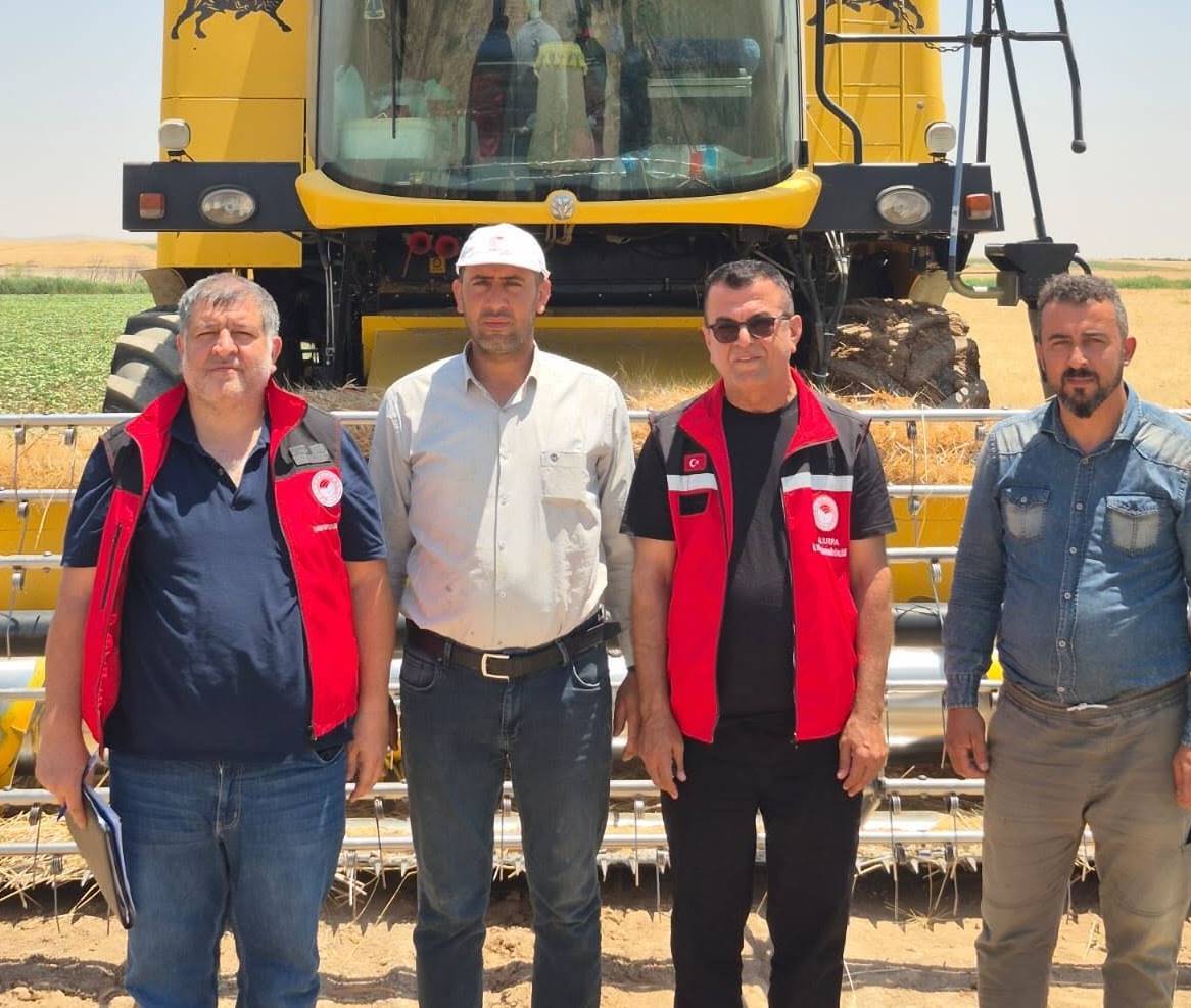 Haliliye’de 500 Dekarlık Buğday Hasadında Biçerdöver Denetimi