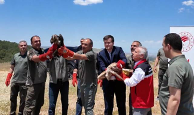 Şanlıurfa’da Yaban Hayatı İçin Önemli Adım
