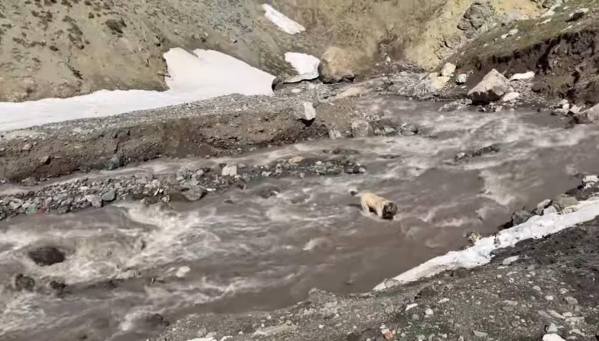 Göçerlerin Zorlu Yayla Yolculuğu Devam Ediyor