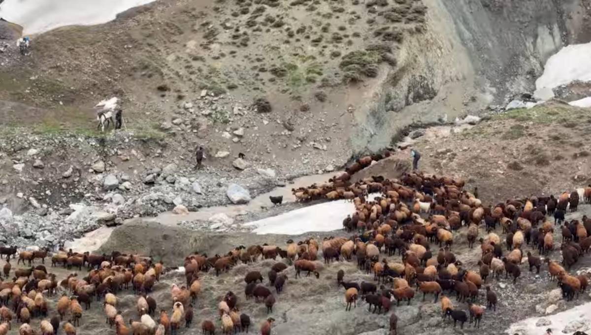 Göçerlerin Zorlu Yayla Yolculuğu Devam Ediyor
