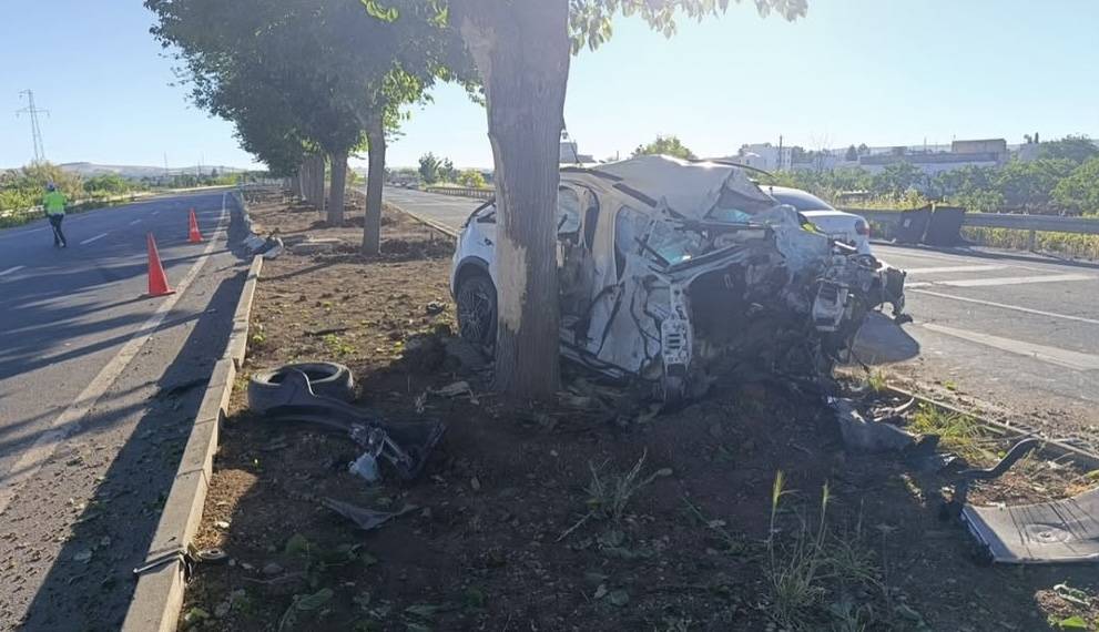 Urfa’da Feci Kaza! Otomobil Ağaca Çarptı, 1 Ölü