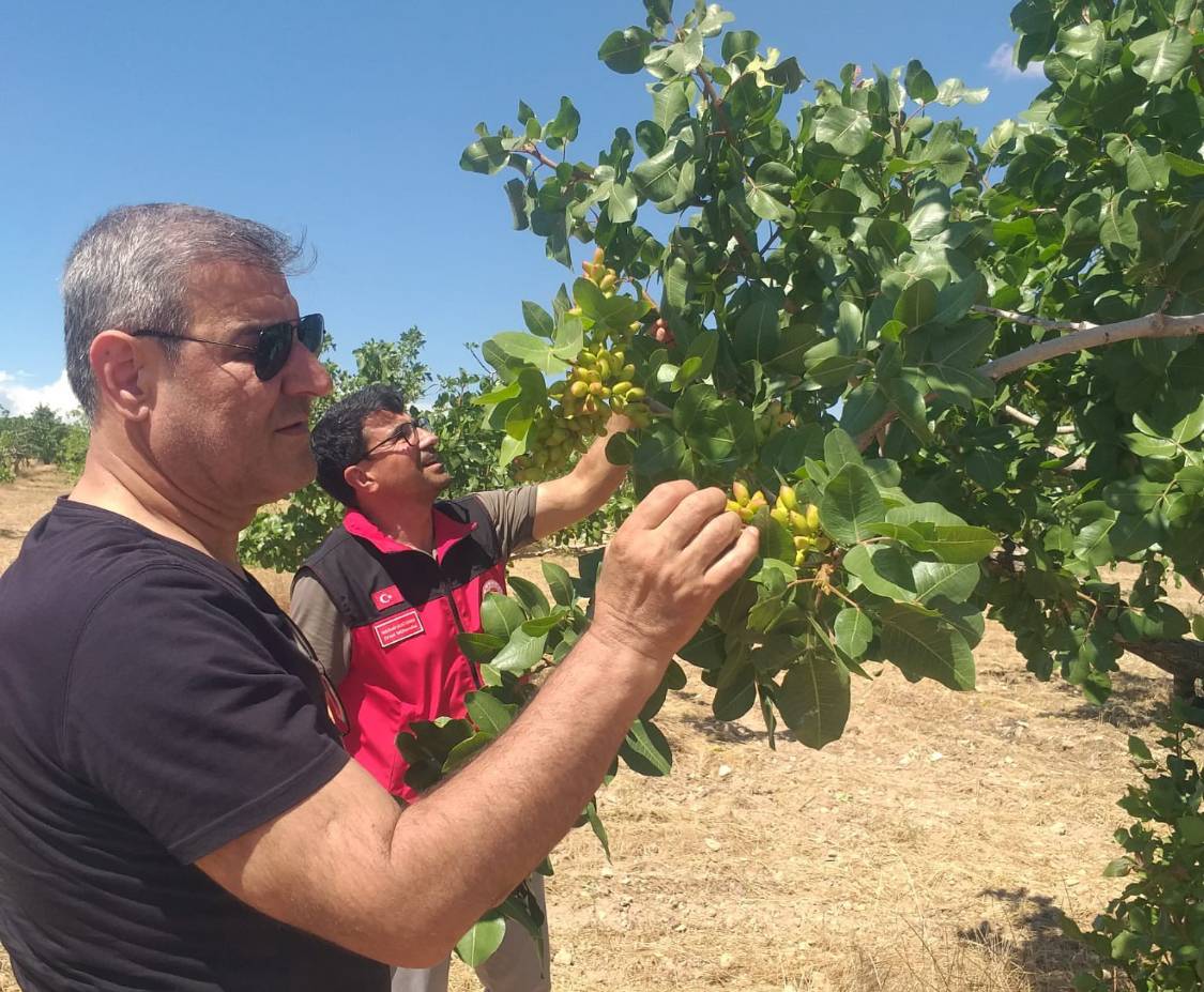 Hilvan’da Dolu ve Fırtına Hasarına Yerinde İnceleme