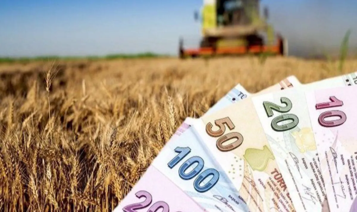 Hububat Alım Fiyatları Açıklandı! Üreticilere Destek Müjdesi