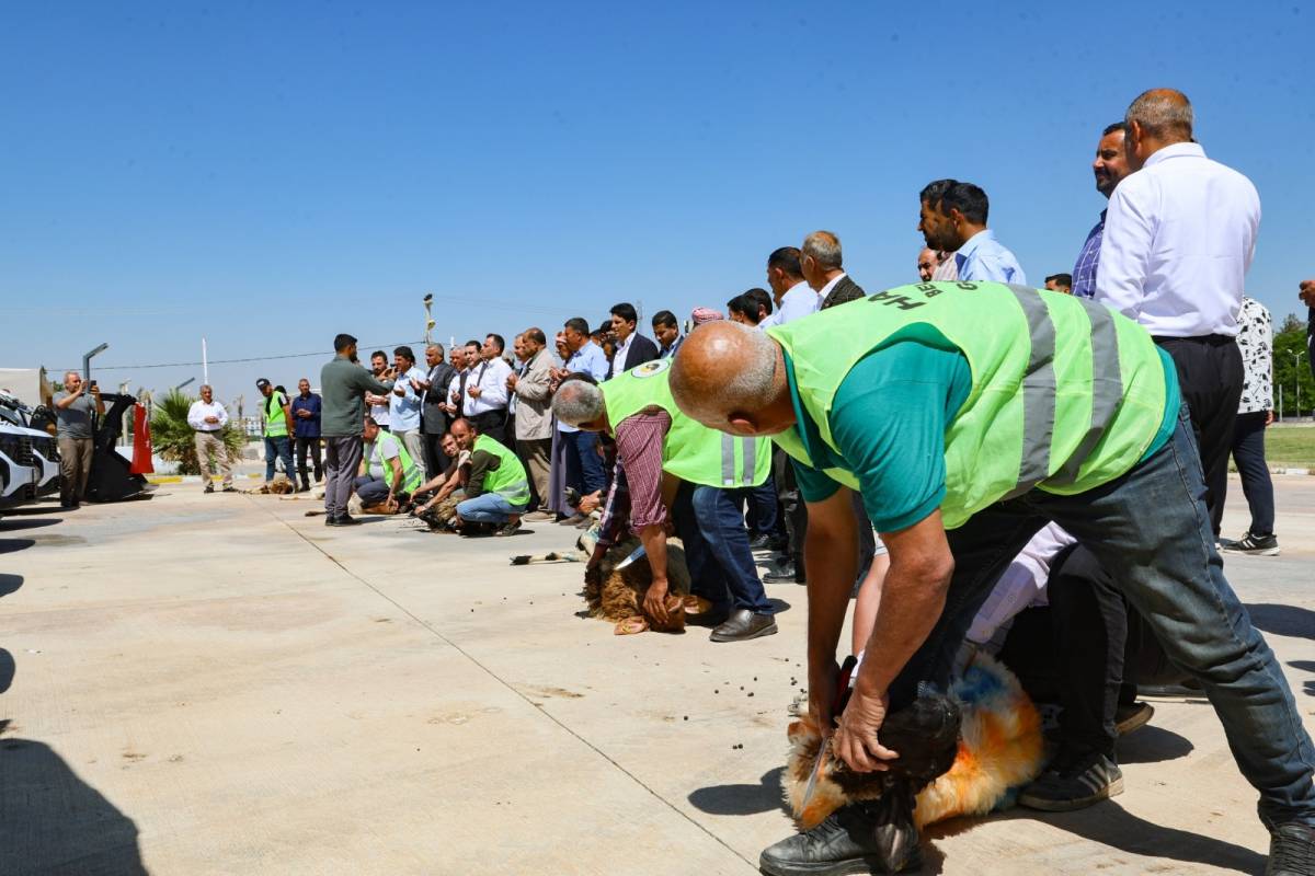 Harran Belediyesi Araç Filosunu Güçlendirmeye Devam Ediyor