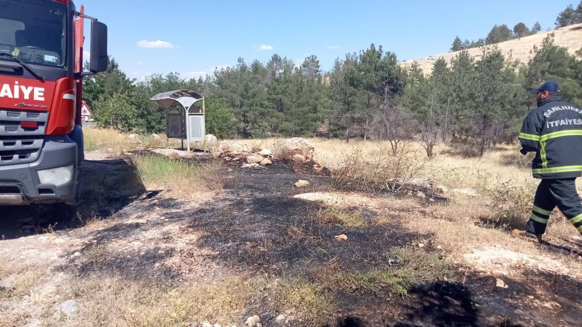 Orman Yangını Kısa Sürede Söndürüldü