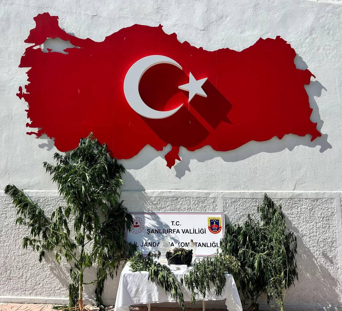 Hilvan'da Uyuşturucu Operasyonu: Kenevir ve Esrar Ele Geçirildi