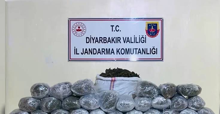 Dev Uyuşturucu Operasyonu: 1 Milyon 755 Bin Kök Kenevir Ele Geçirildi